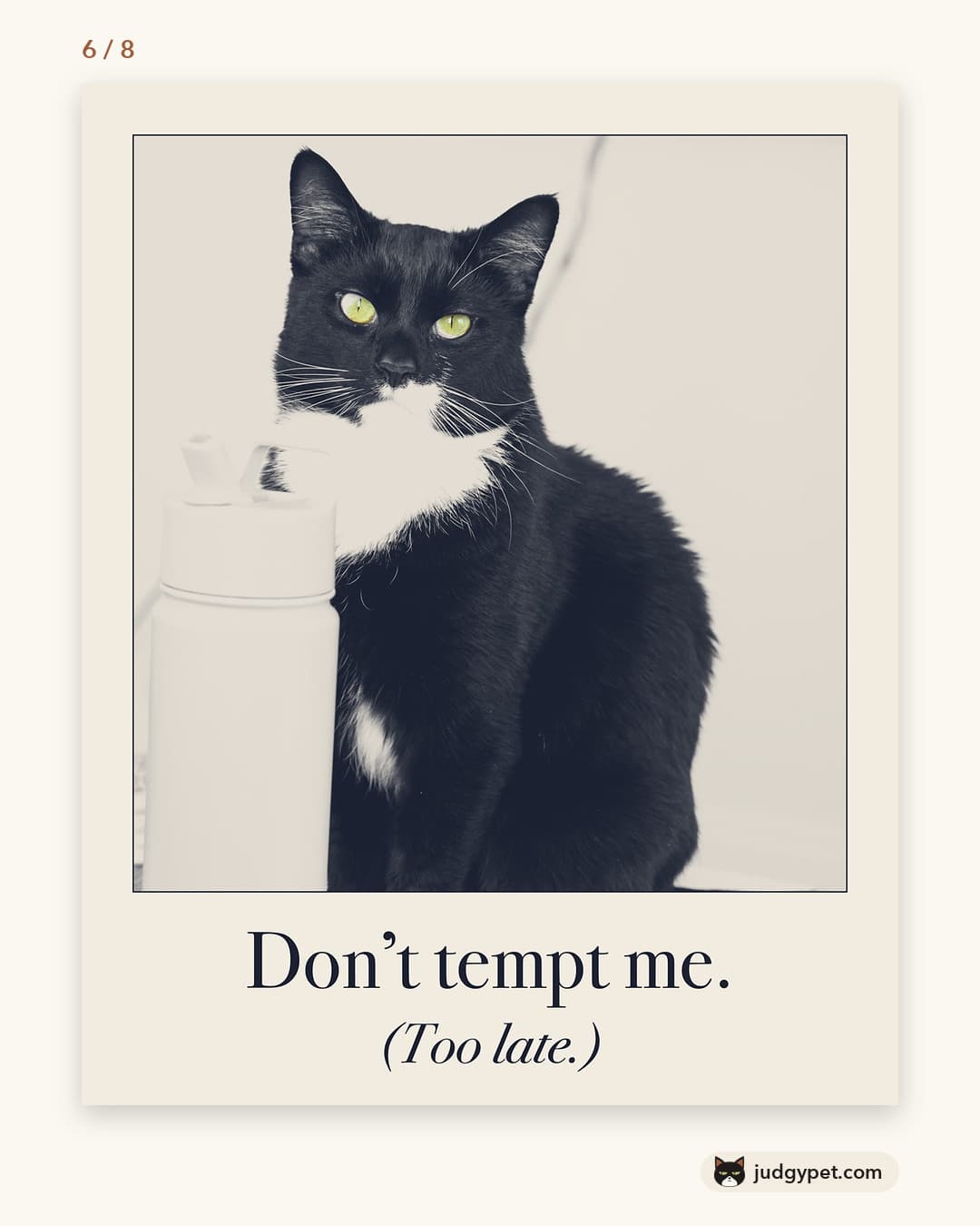 Don't tempt me. (Too late.) Judgy Pet print design