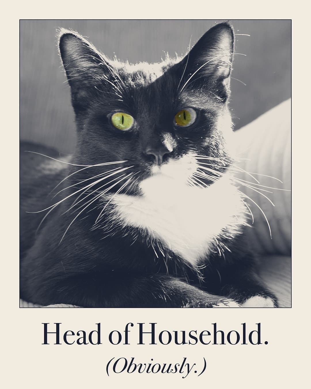 Head of Household. (Obviously.) Cat print by Judgy Pet