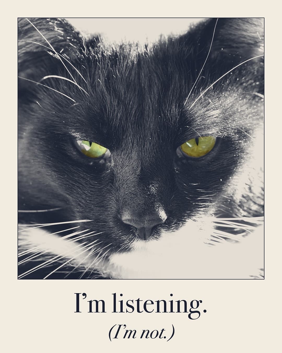 I'm listening. (I'm not.) Cat print by Judgy Pet